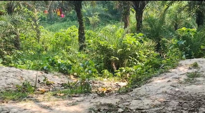 টানা দুদিন পর চাঁপাইনবাবগঞ্জের গোমস্তাপুর সীমান্তে পুশইনের চেষ্টাকৃত ২৮ জনকে সরিয়ে নিয়েছে বিএসএফ